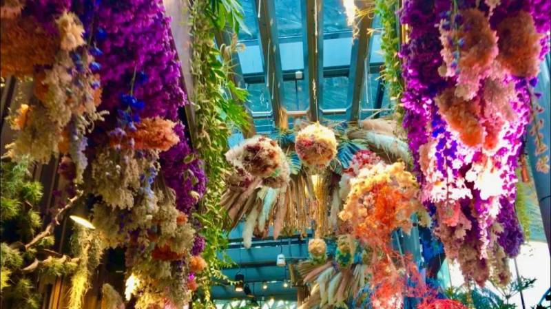 实拍！新加坡滨海湾奇幻花园重开，花团锦簇美到令人窒息