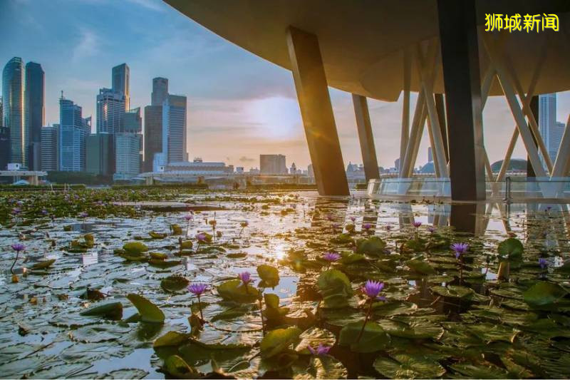 城市規劃：瑞士可以從新加坡學到什麽