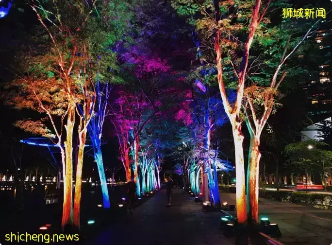 濱海灣亮燈啦! 每晚 8 點 到 10:30 亮燈直到12月31日