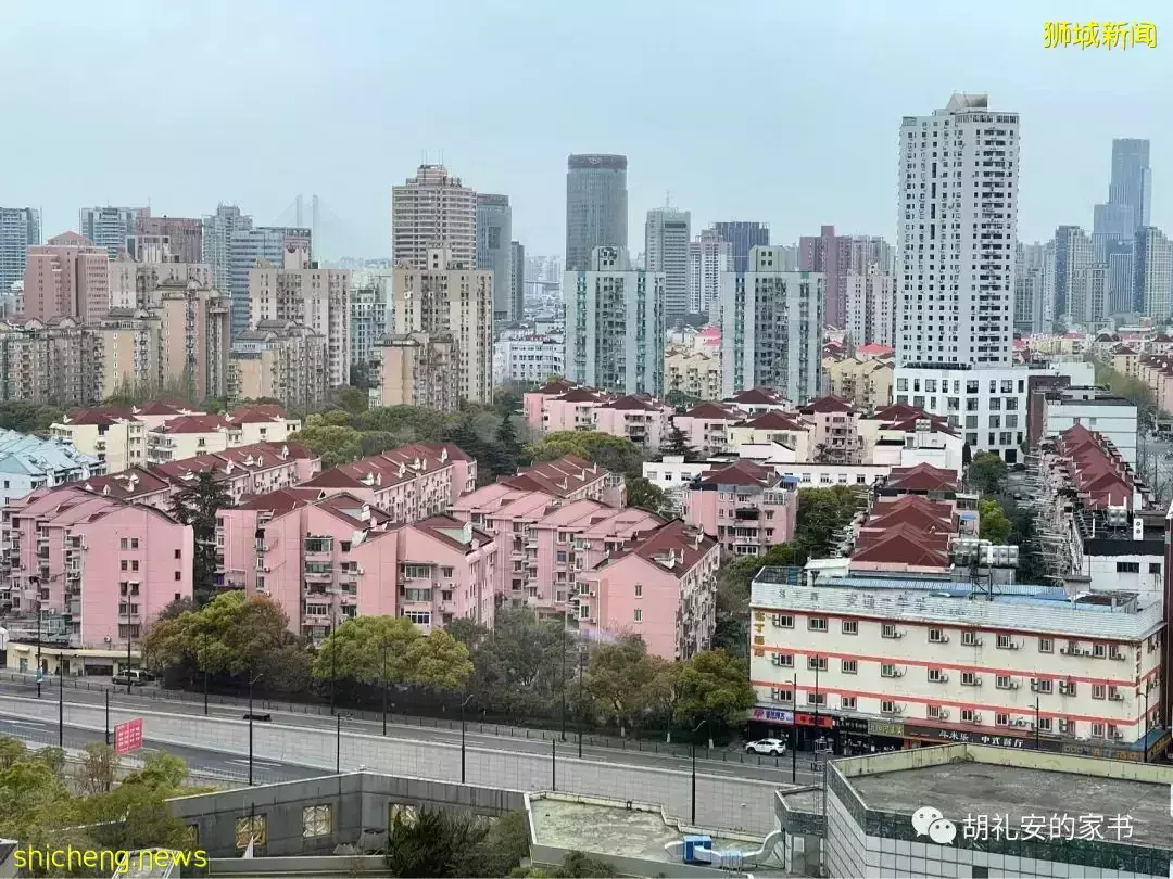 “从新加坡回到上海,封锁一再延长,我被卷入了这场前所未有的大事件”