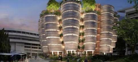 南大校园网红猫Robbie过 世，喂养流浪猫一定要注意这些事项