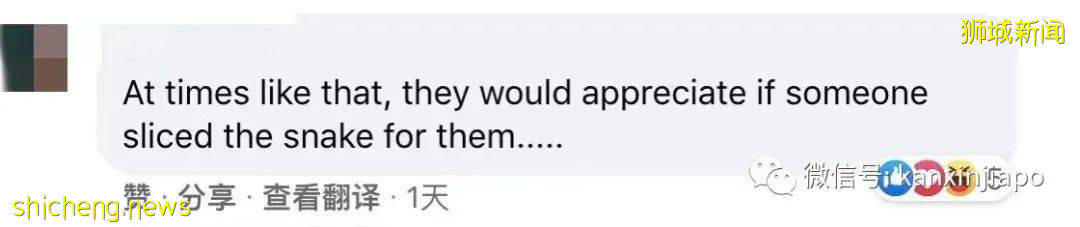 新加坡公园惊现三只大蜥蜴撕咬蟒蛇!“这是侏罗纪公园吧?”