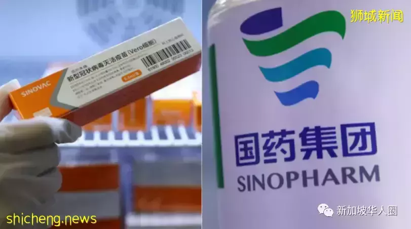 新加坡自行检测呈阳者,必须5个月内打追加剂才算完成接种