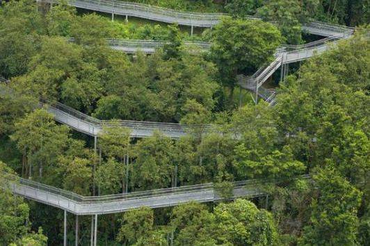 新加坡留學 你永遠都不會知道的關于新加坡的25個冷知識，知道五個算我輸