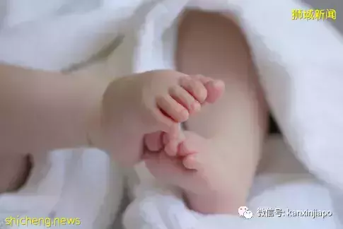 毫无人性！新加坡幼师虐待1岁男婴，连续掌掴7次，猛拍背部20次，狠摔到地上