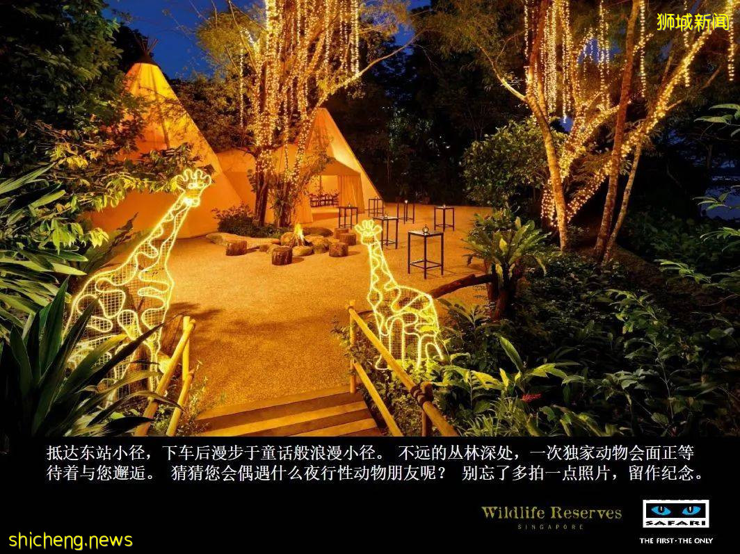 新加坡 中秋節野生動物之夜!酷炫探險~帳篷晚餐~賞月之旅