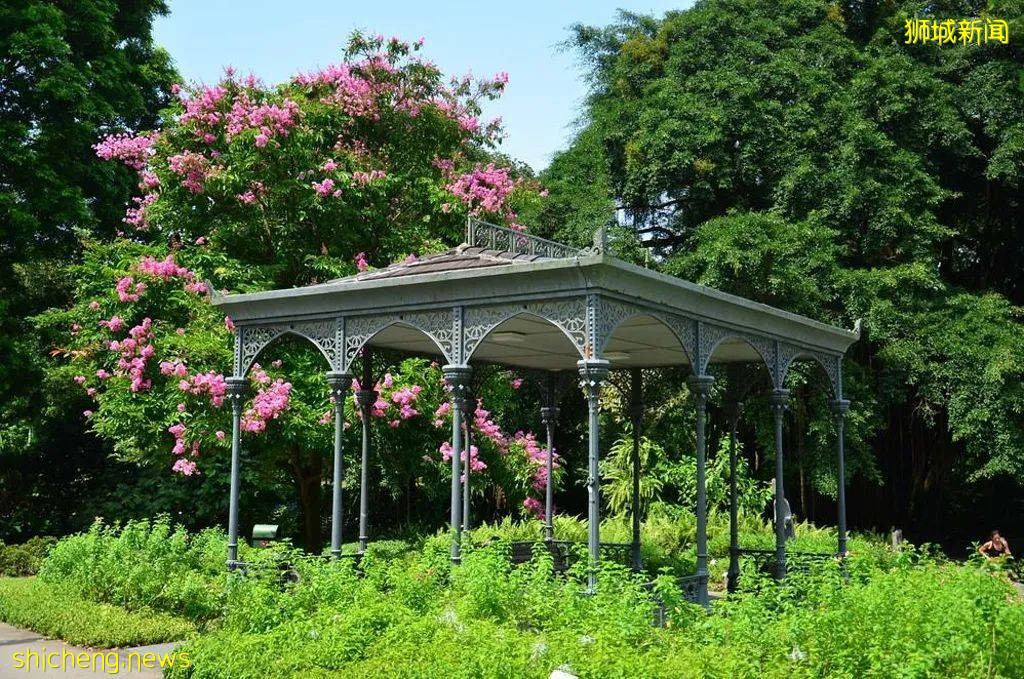 【鳥瞰新加坡】花園城市 5個最美的新加坡公園