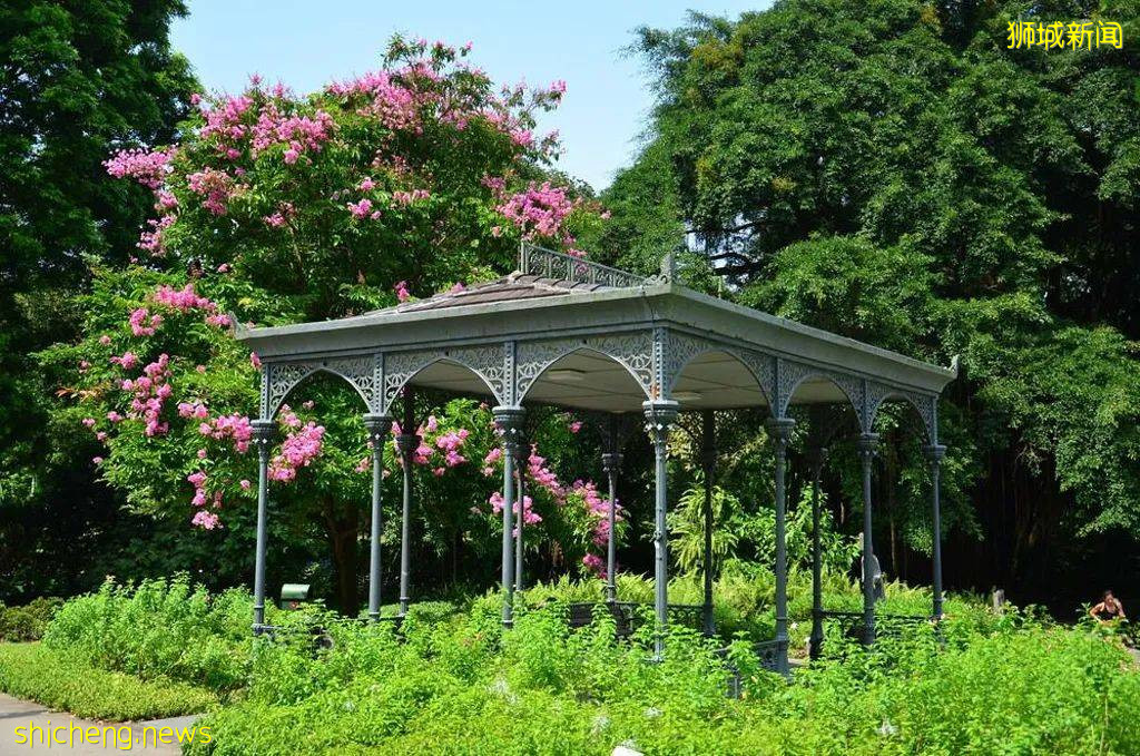 【鳥瞰新加坡】花園城市 5個最美的新加坡公園