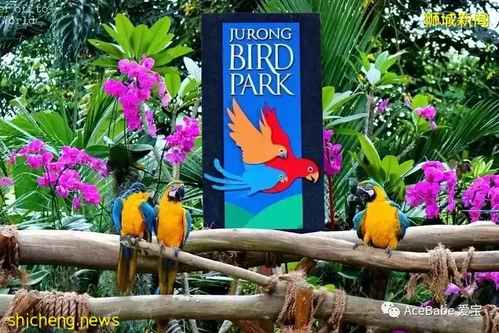 新加坡五一遊玩攻略,這屆媽媽都去哪裏遛娃