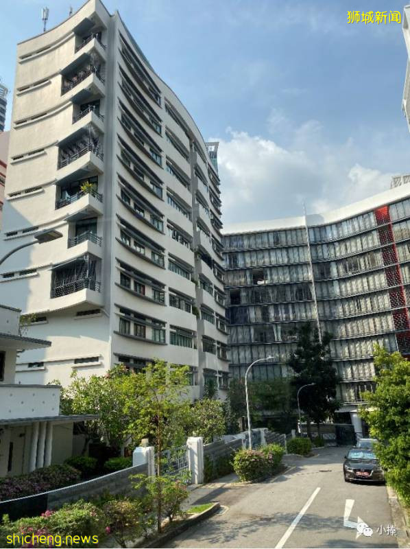 新加坡 不一樣的風情