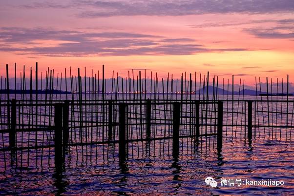 新加坡哪里看日落？8个绝美夕阳的打卡地点