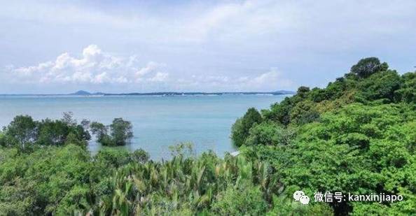 網友親測!新加坡十條經典徒步線路大推薦