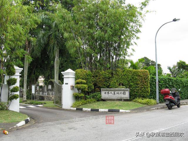 下月起，可以飞去新加坡旅游了。这些冷门免费地方值得一去