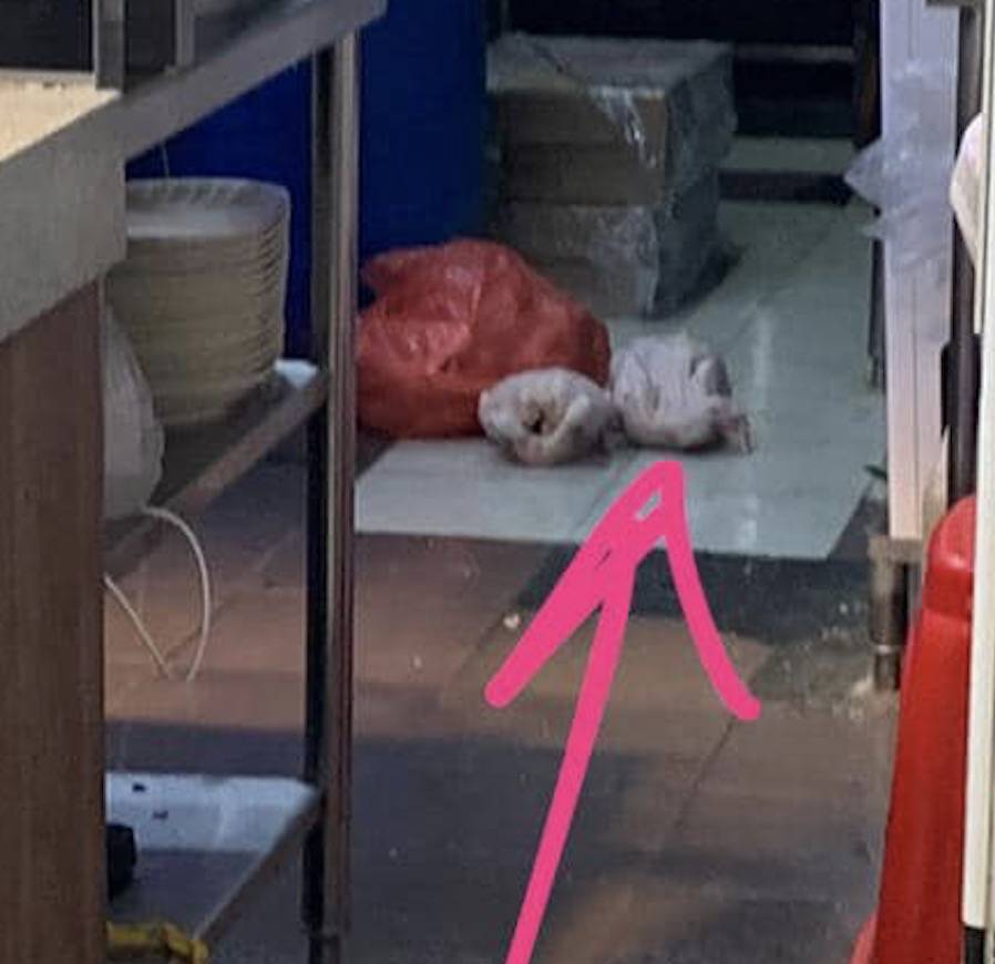 太髒了！新加坡這個小販中心引發網友熱議