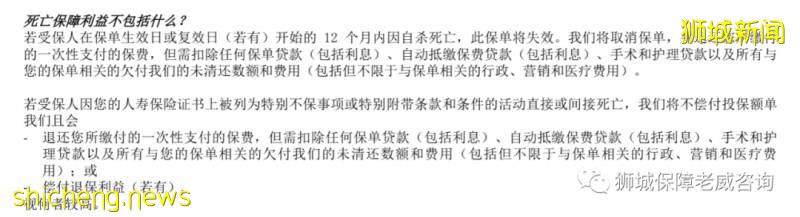 新加坡定期壽險篇