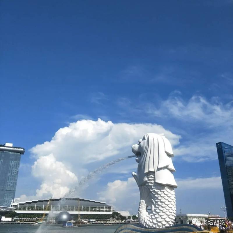 新加坡游记~来啦