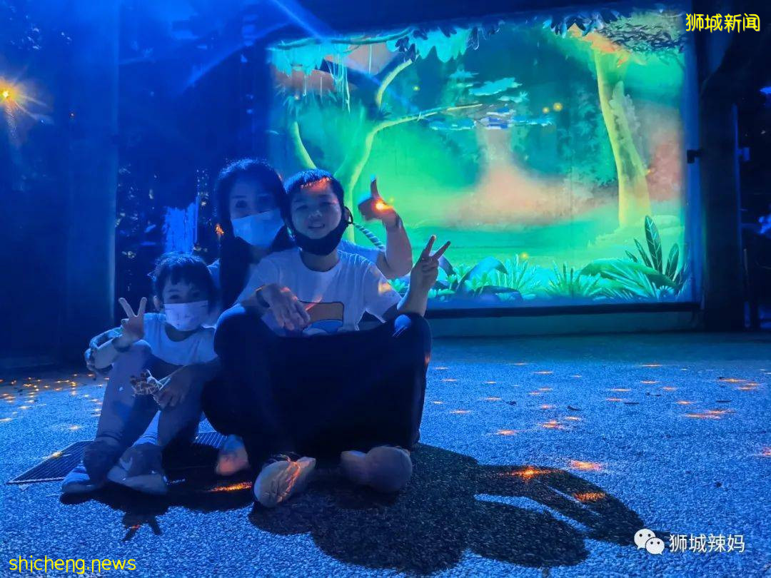 低至S$8！就3天！新加坡動物園“幻光雨林之夜”強勢回歸，亞洲第一夜遊體驗