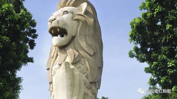 日本和歐洲也有魚尾獅? 它比你我知道的還要神出鬼沒