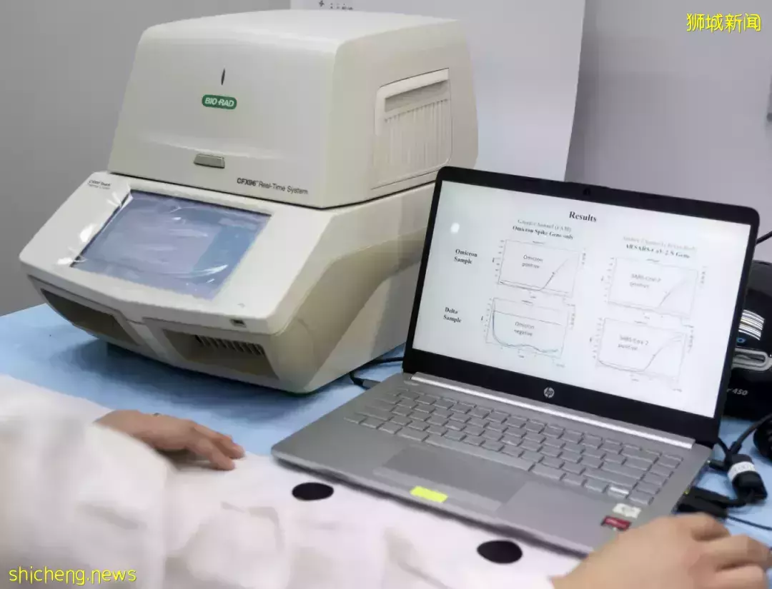 新加坡推出首個奧密克戎檢測試劑盒