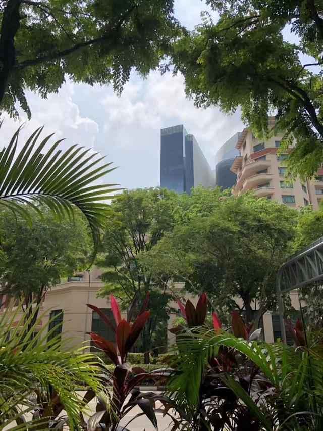 出境自由行第一站去哪儿比较好?—八大理由让你爱上新加坡