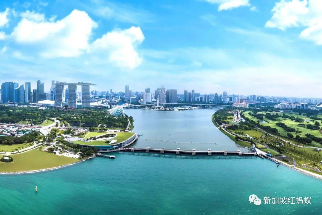 小小的新加坡竟有17個水庫　一個比一個清幽秀麗