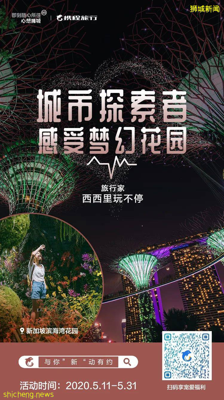 这个520,狮城拍了拍你并与你“新”动有约