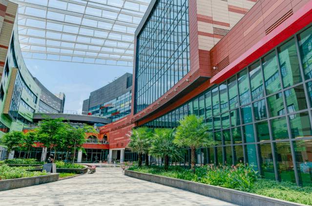 今天開考！疫情期間，新加坡會放低外國孩子進入政府學校的門檻嗎