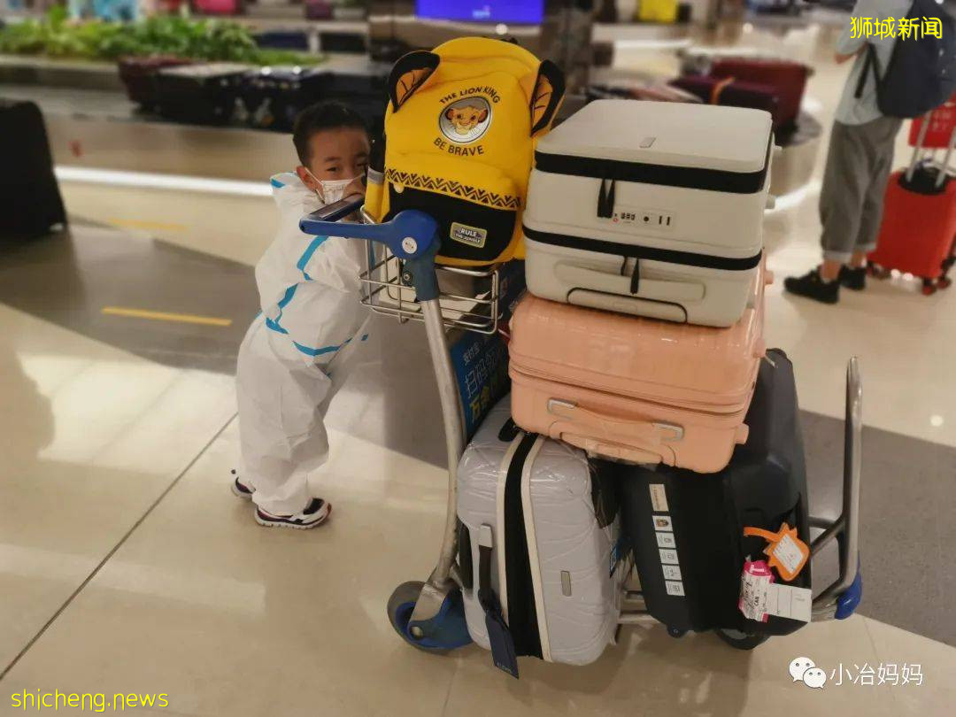 結束11年新加坡的生活!我懷孕帶著5歲的娃回了中國又移民澳洲!這瘋狂又神奇的旅程