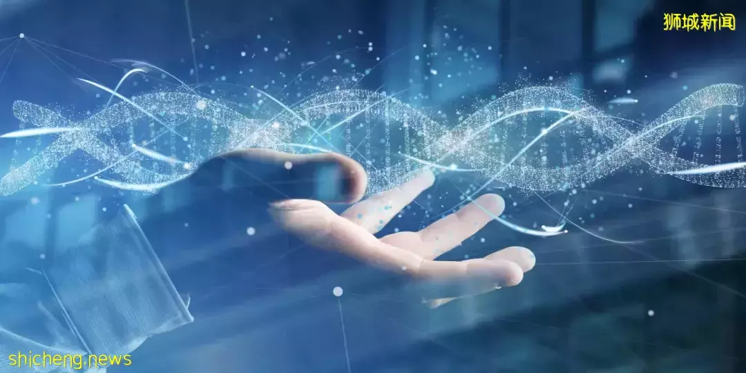 NUS 研究成果 : 领导力会让人获得幸福吗