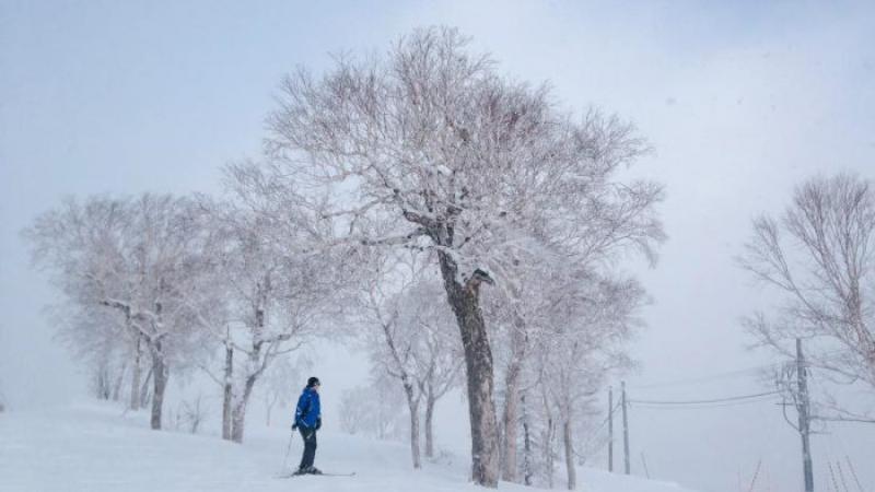 世界变了样：孩子管爸妈，月亮东方圆