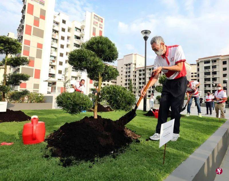 花园城市不虚有其名！顶楼花园植树 多层停车场披绿衣