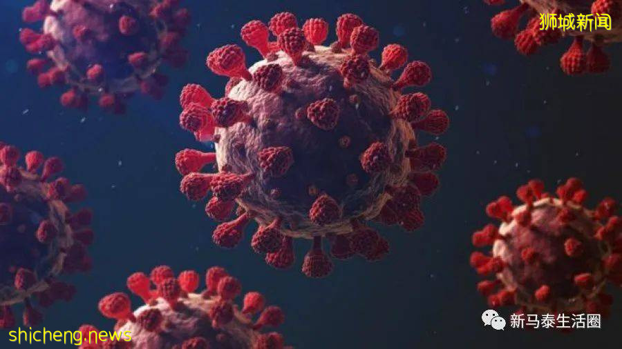 新加坡最新研究!組屋汙水可查出感染者