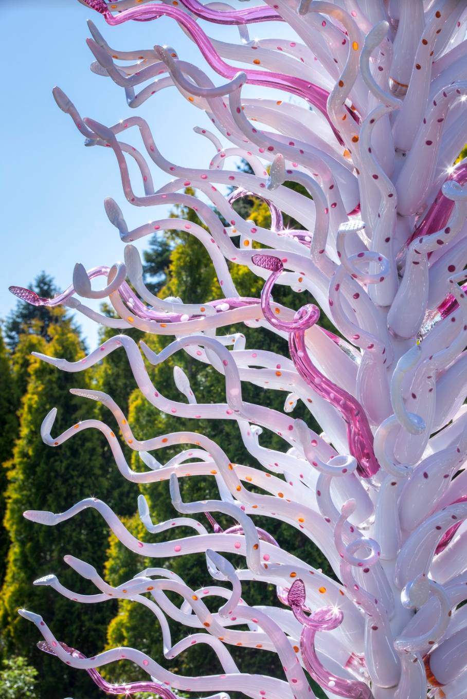 在美國、日本、法國都超火的玻璃花園搬來新加坡啦