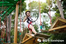 國際學校考試全球滿分得主,大半來自新加坡