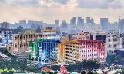 蔡德林:新加坡都市裏的村莊