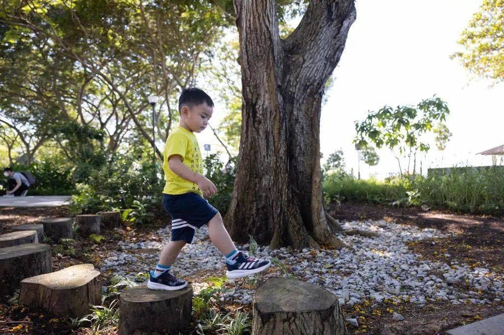 東海岸Big Splash水上樂園關閉四年,搖身一變成爲全新海岸樂園Coastal PlayGrove
