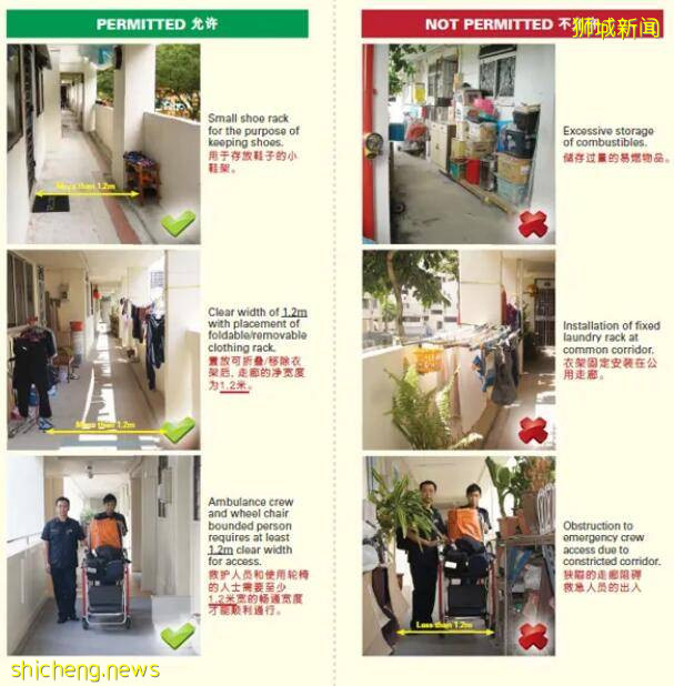 新加坡組屋變“客廳”？有點格局！養雞場、小叢林、毛片場