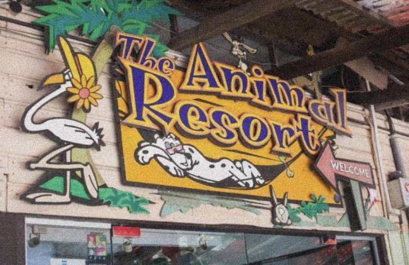 周末去哪兒玩？新加坡休閑動物農場了解一下