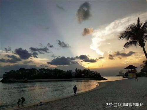 新加坡南洋理工大学排名怎么样？高吗