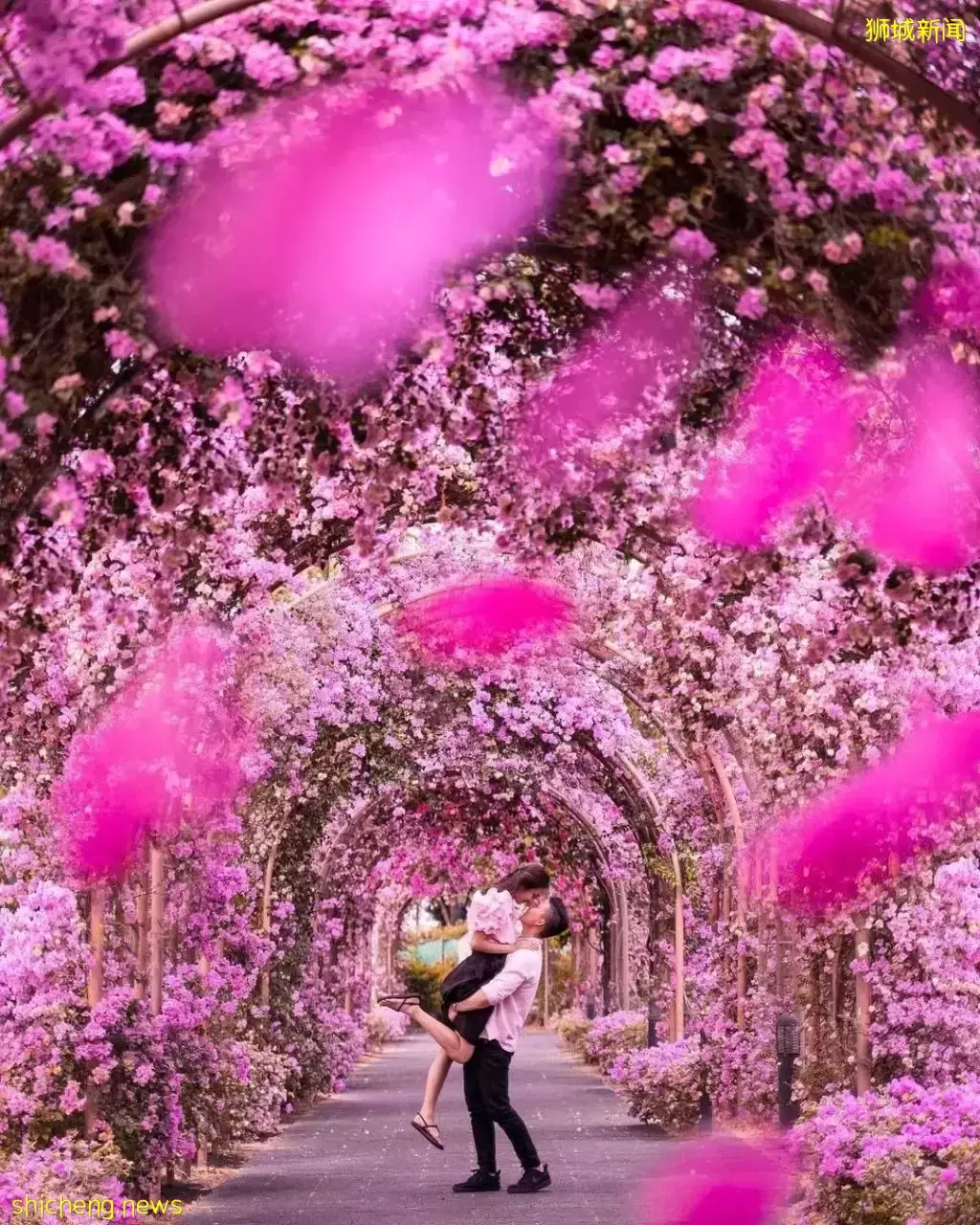 糖分超標預警！甜蜜暴擊の約會指南 · 吃喝玩樂一條龍 · 讓你與TA從早sweet到晚