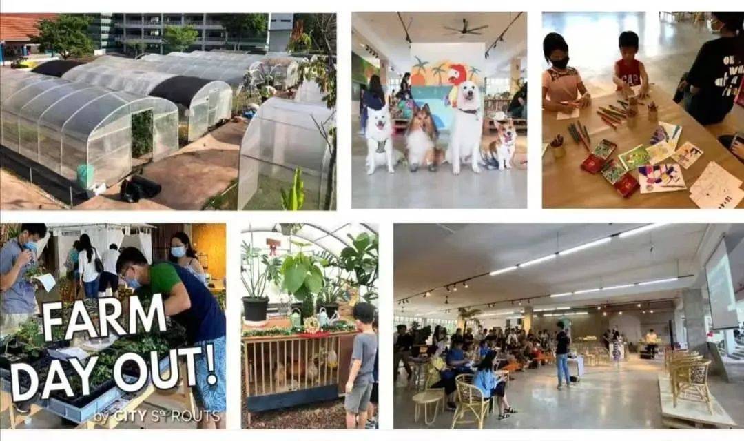 爲什麽這周放3天假?精選14個親子活動+16家餐廳,High起來