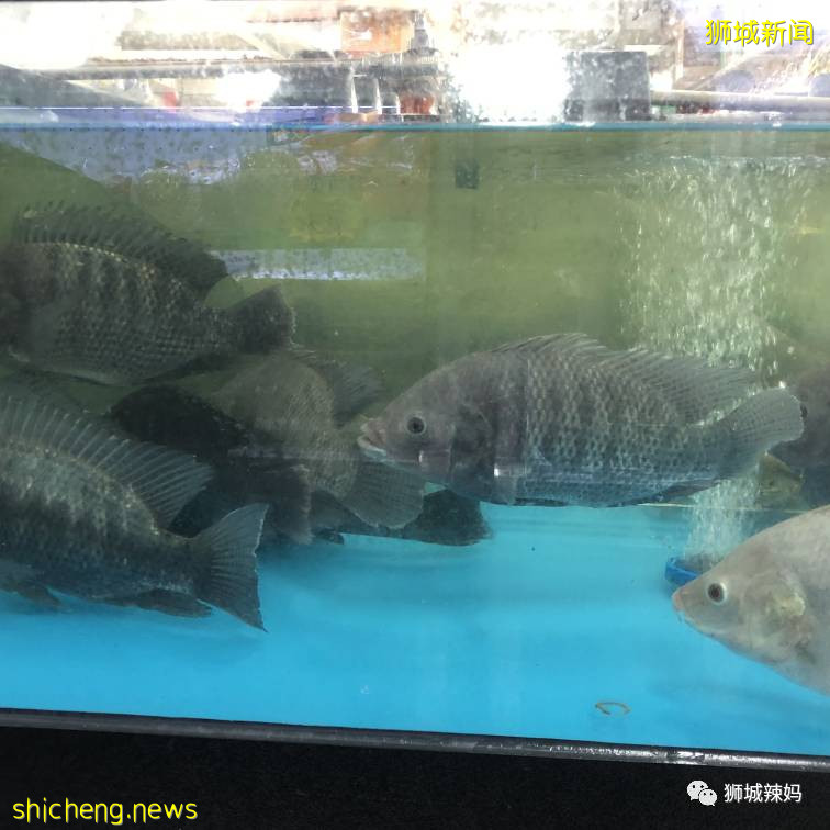 超劃算中國超市！$0.6鮑魚、$8麻辣小龍蝦、活鲫魚、80種海鮮、100多種面食