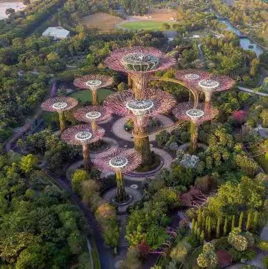 新加坡的改善还有新方向,森林城市要成为榜样