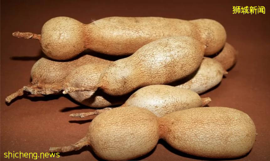 果壳可作储能材料？NTU 团队提供废物利用新思路