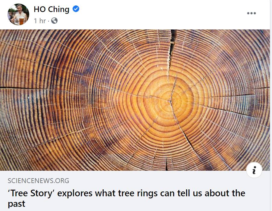 新加坡总理夫人何晶，宣布退休