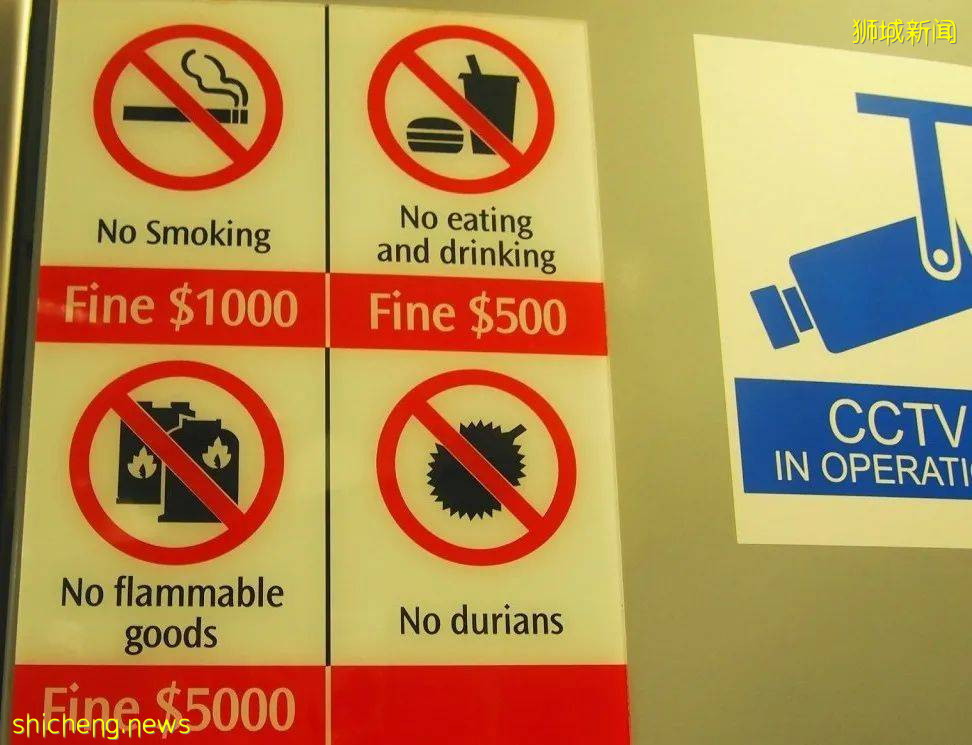 關于新加坡，這些問題被問到最多