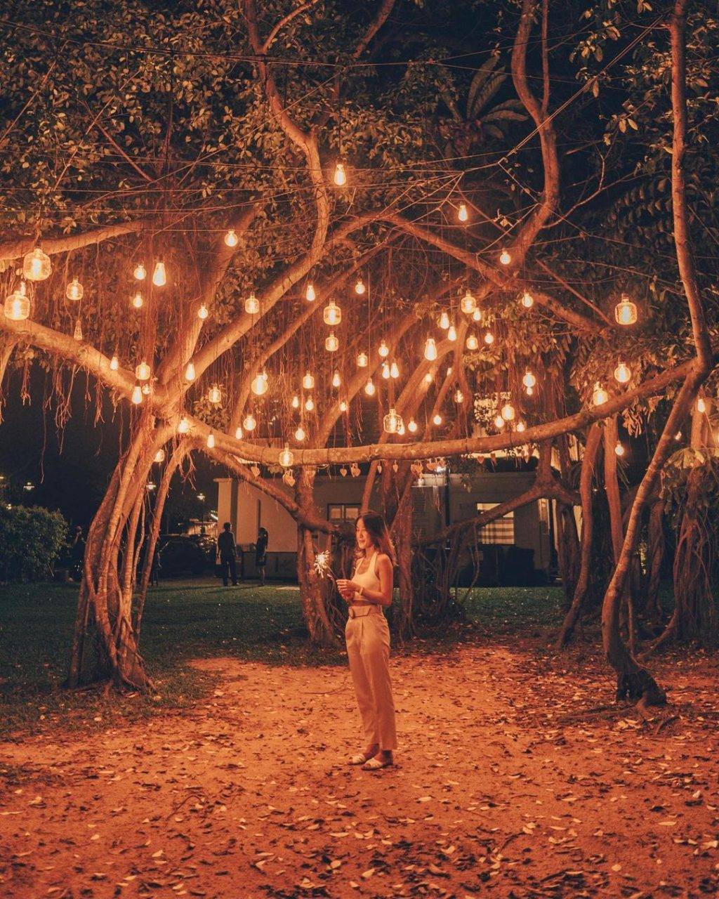 新加坡超大莊園咖啡廳“Wheeler's Estate”南洋複古風🤩 隱藏在城市裏的小綠洲!約會、聚餐、求婚絕佳地點✨