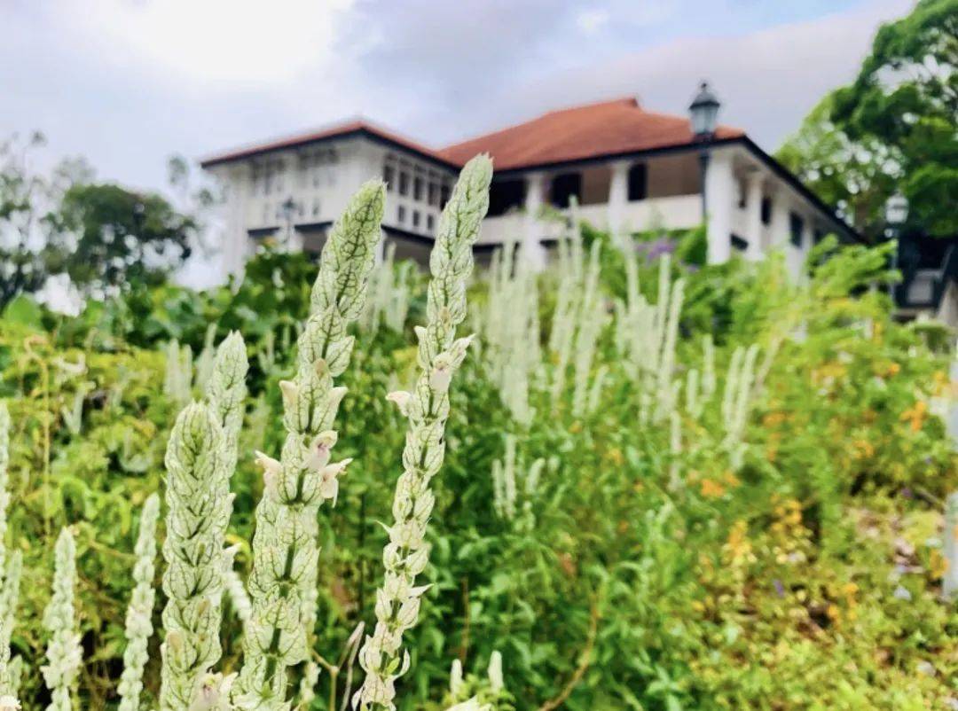 新加坡美术艺术馆大盘点,燃烧你的艺术之魂