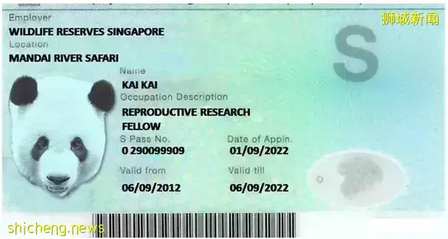 2022年新加坡政策大彙總!下月開始實施!你還不了解一下嗎