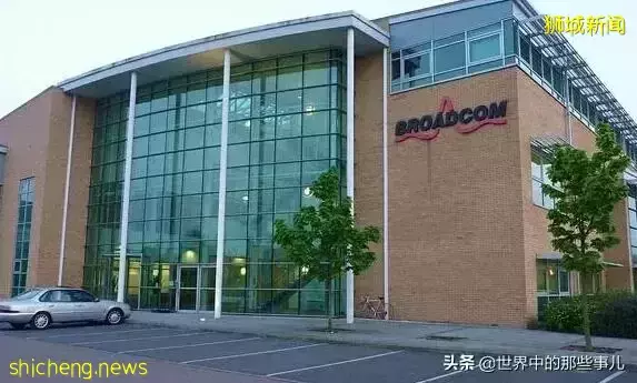 金龍魚、凱德集團竟然是新加坡公司?新加坡還有哪些産品在中國